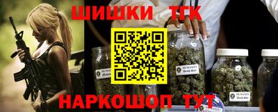 тгк Камышлов