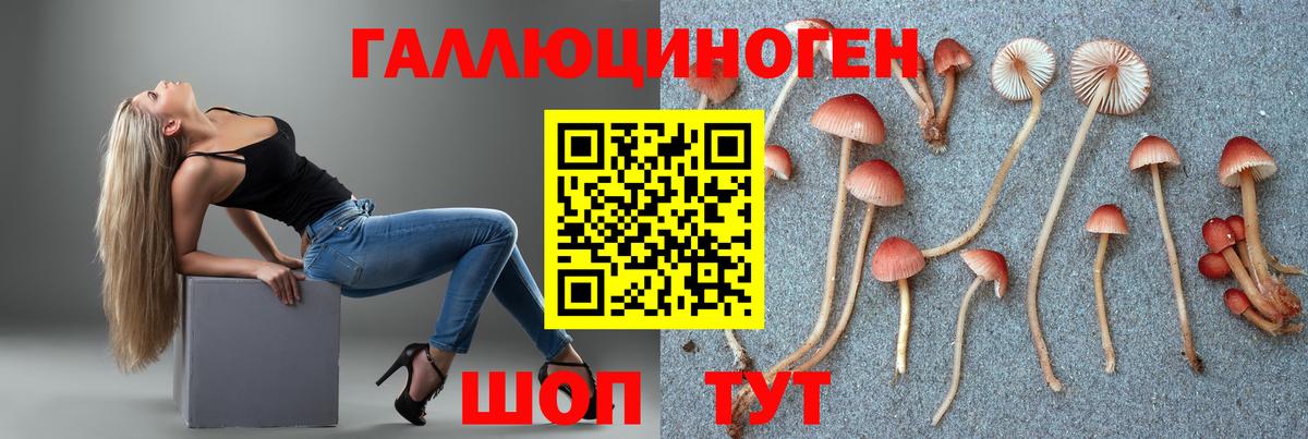Галлюциногенные грибы MAGIC MUSHROOMS  Псилоцибиновые грибы Psilocybe  Вход с VPN  Кулебаки 