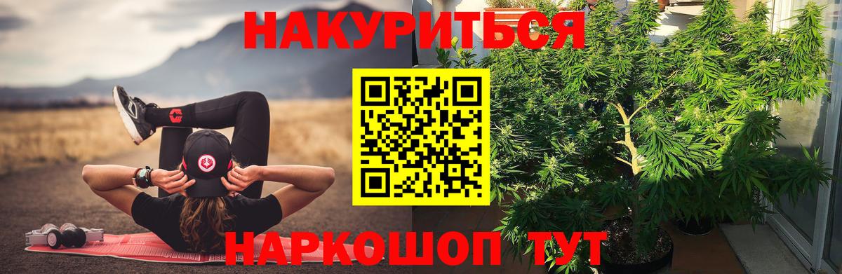 Марихуана план  Бошки марихуана Ganja  Шишки марихуана THC 21%  Вход с VPN  Конопля THC 21%  Кулебаки 
